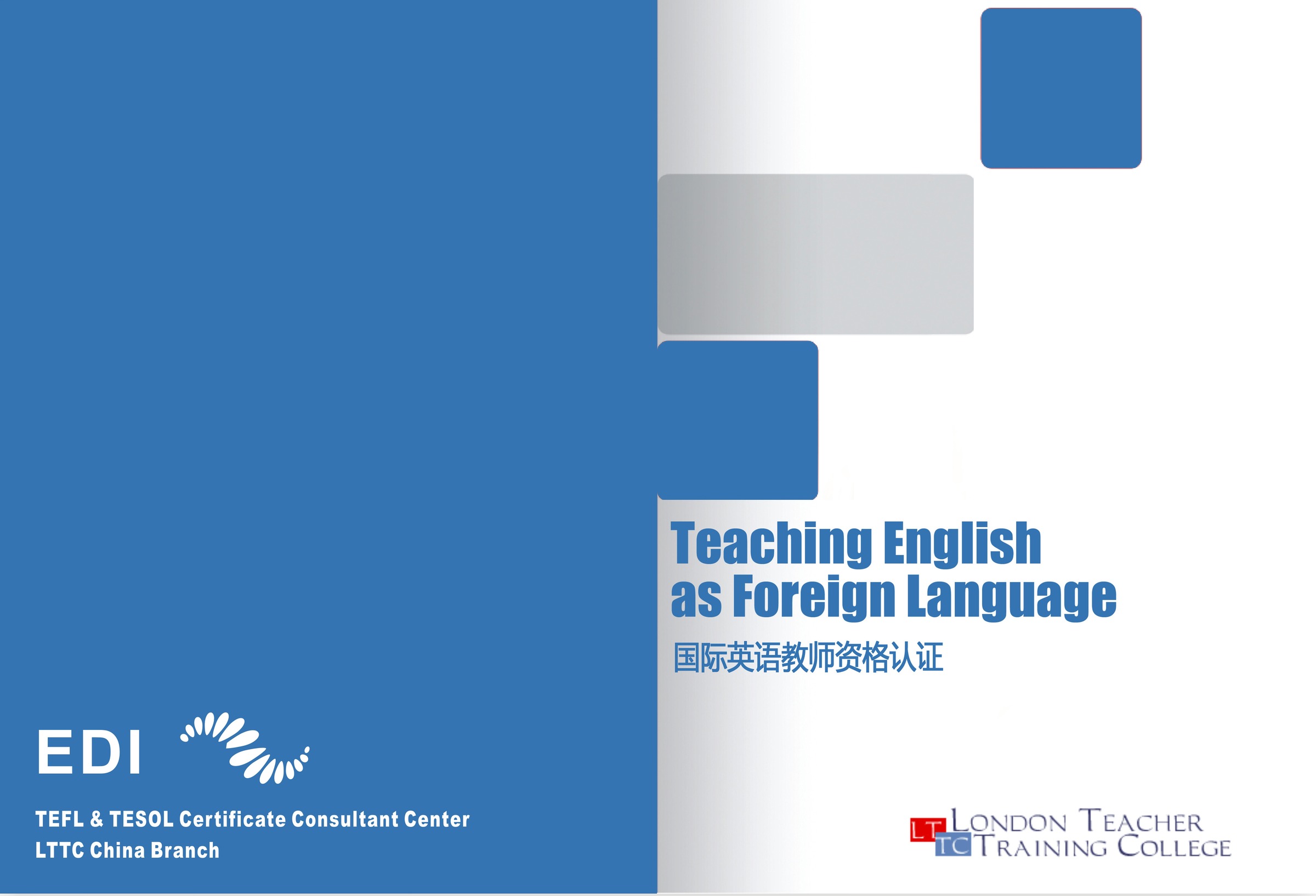 TEFL 高级教材
